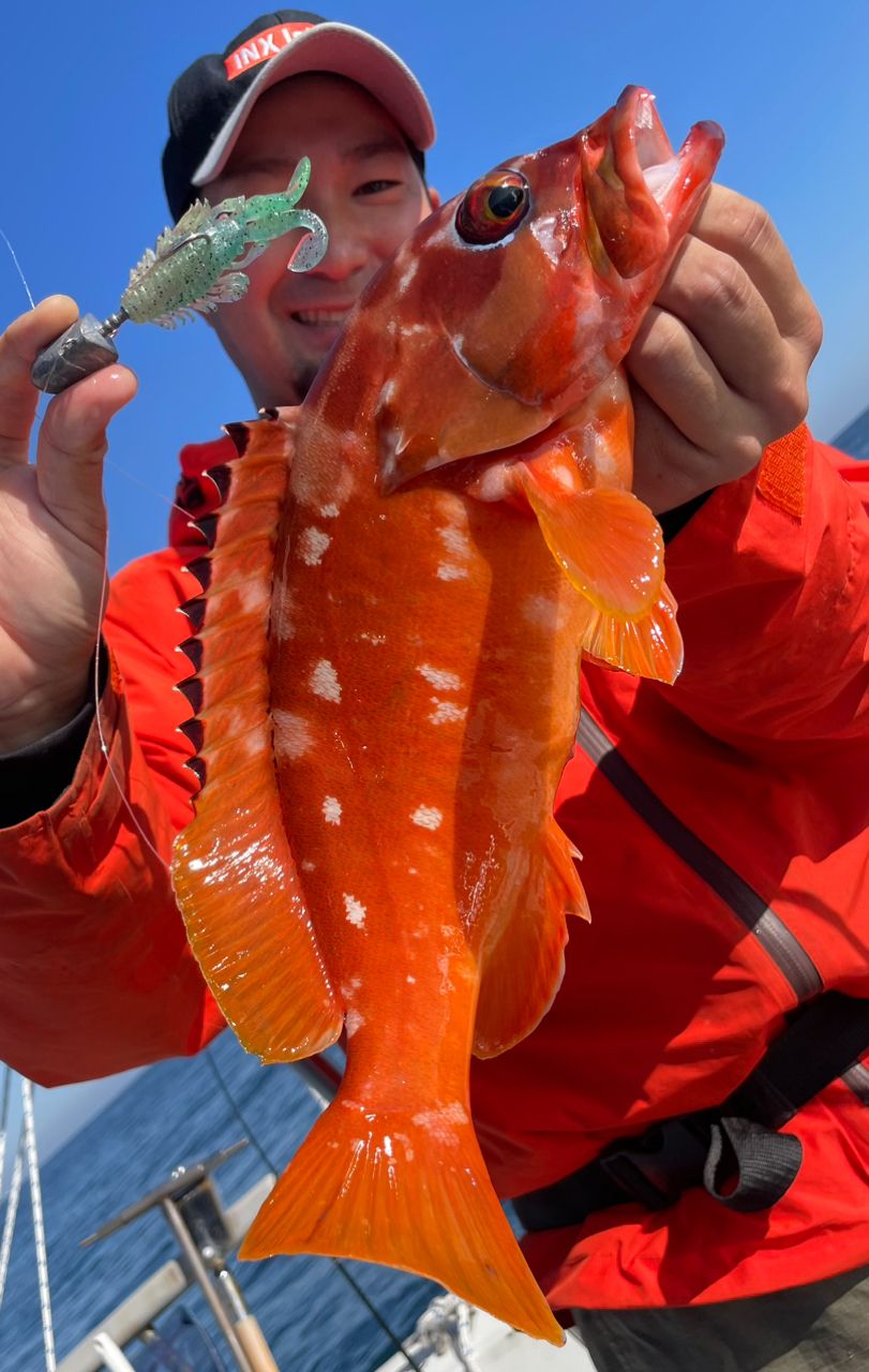 ポケ船長さんの釣果 2枚目の画像