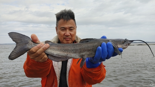 アメリカナマズの釣果