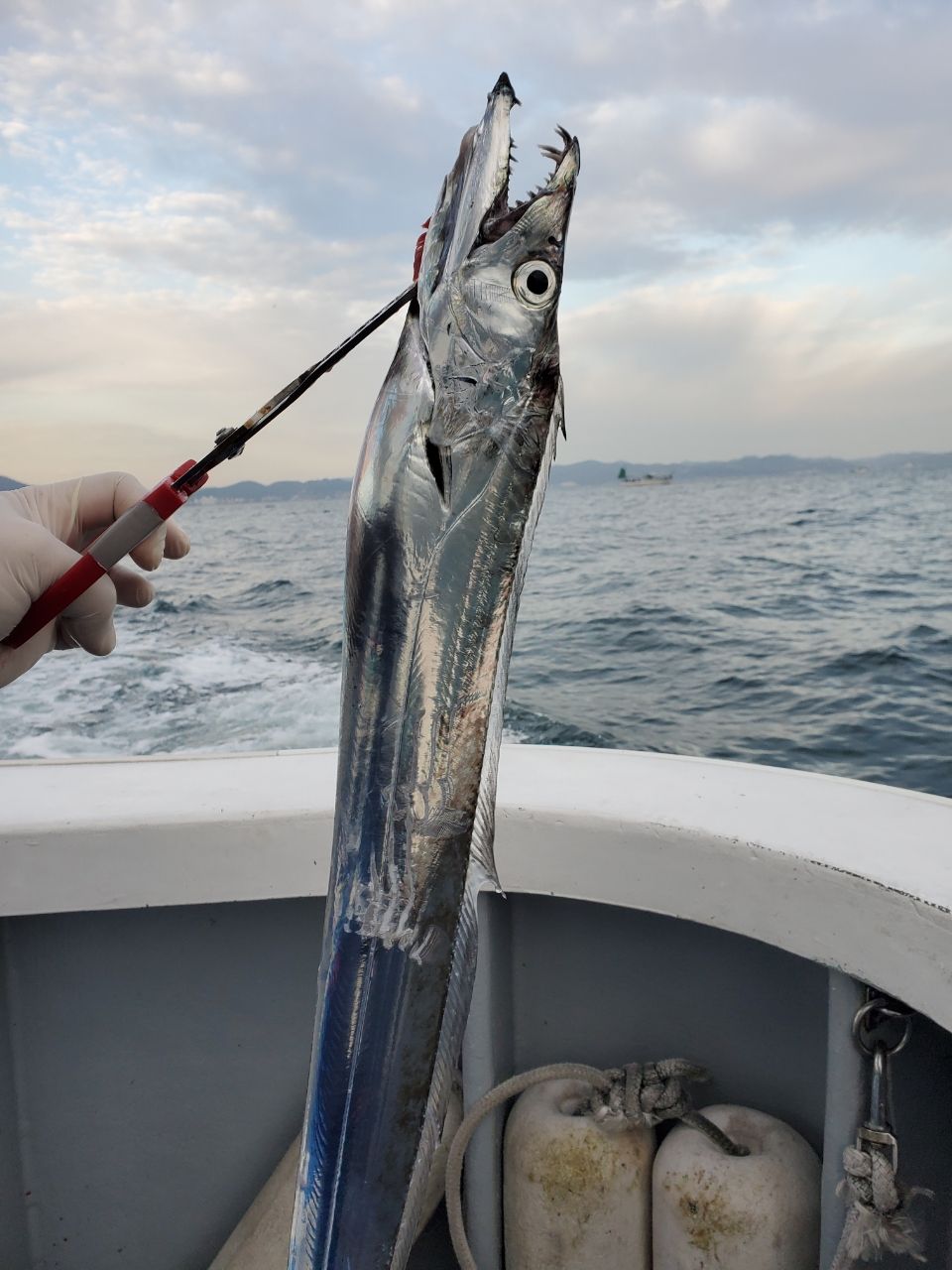 ★もと★さんの釣果 2枚目の画像