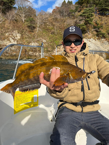 アイナメの釣果