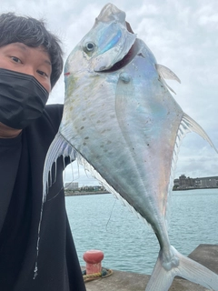 イトヒキアジの釣果