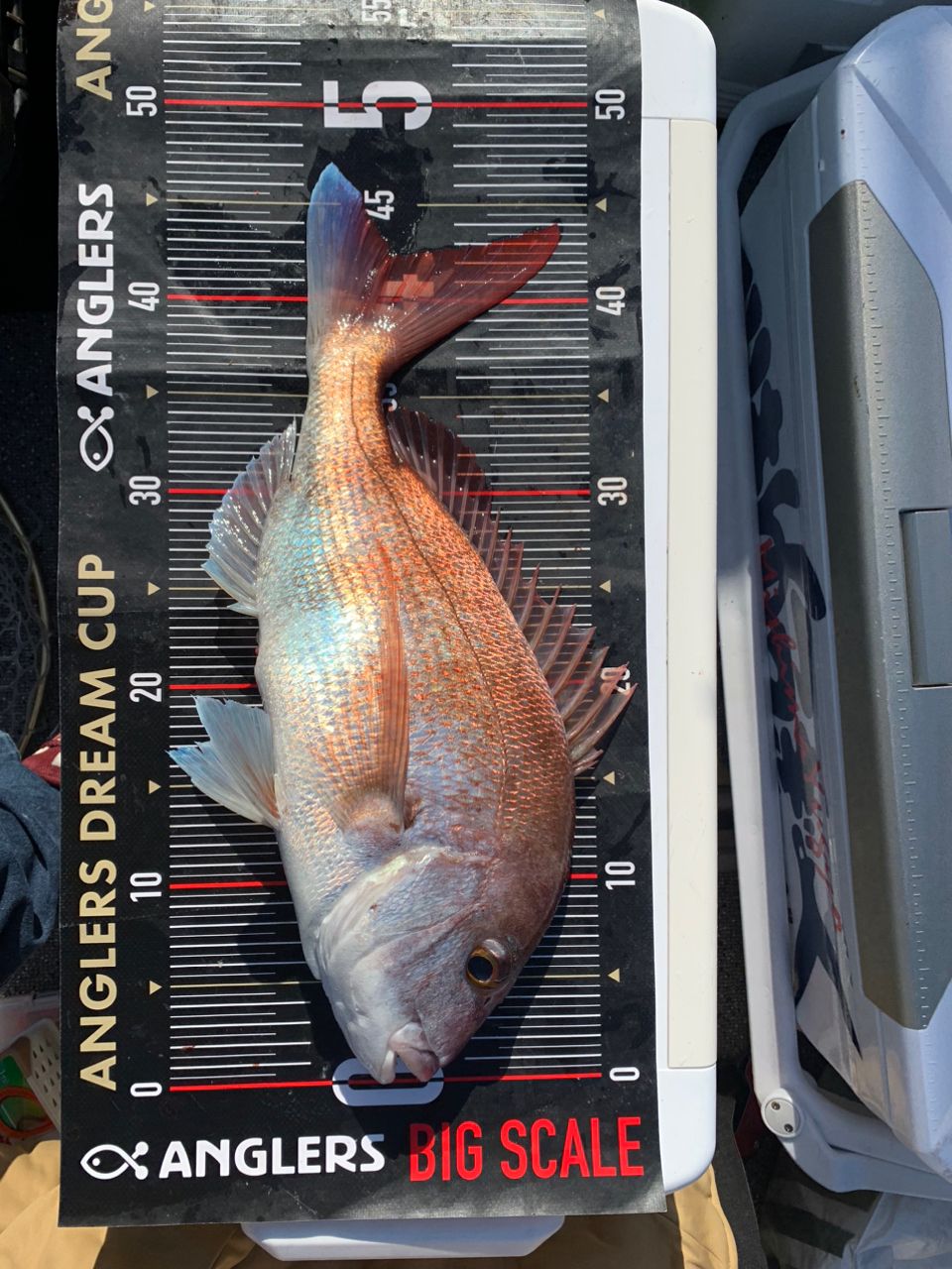 アングラー01405131さんの釣果 2枚目の画像