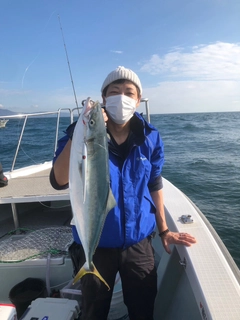 ハマチの釣果