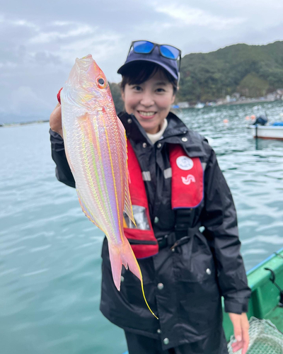 イトヨリダイの釣果