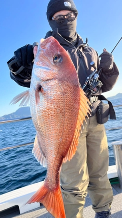 タイの釣果