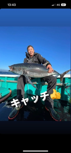 ビンチョウマグロの釣果