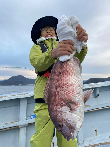 マダイの釣果