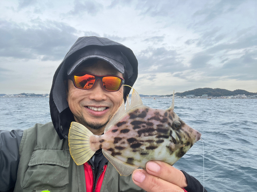 カワハギの釣果