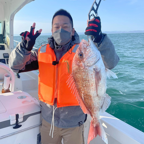 マダイの釣果