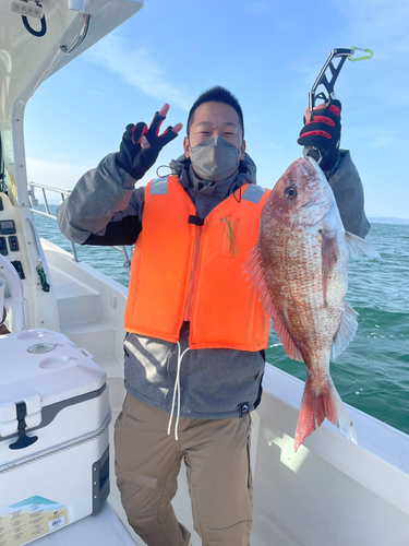 マダイの釣果