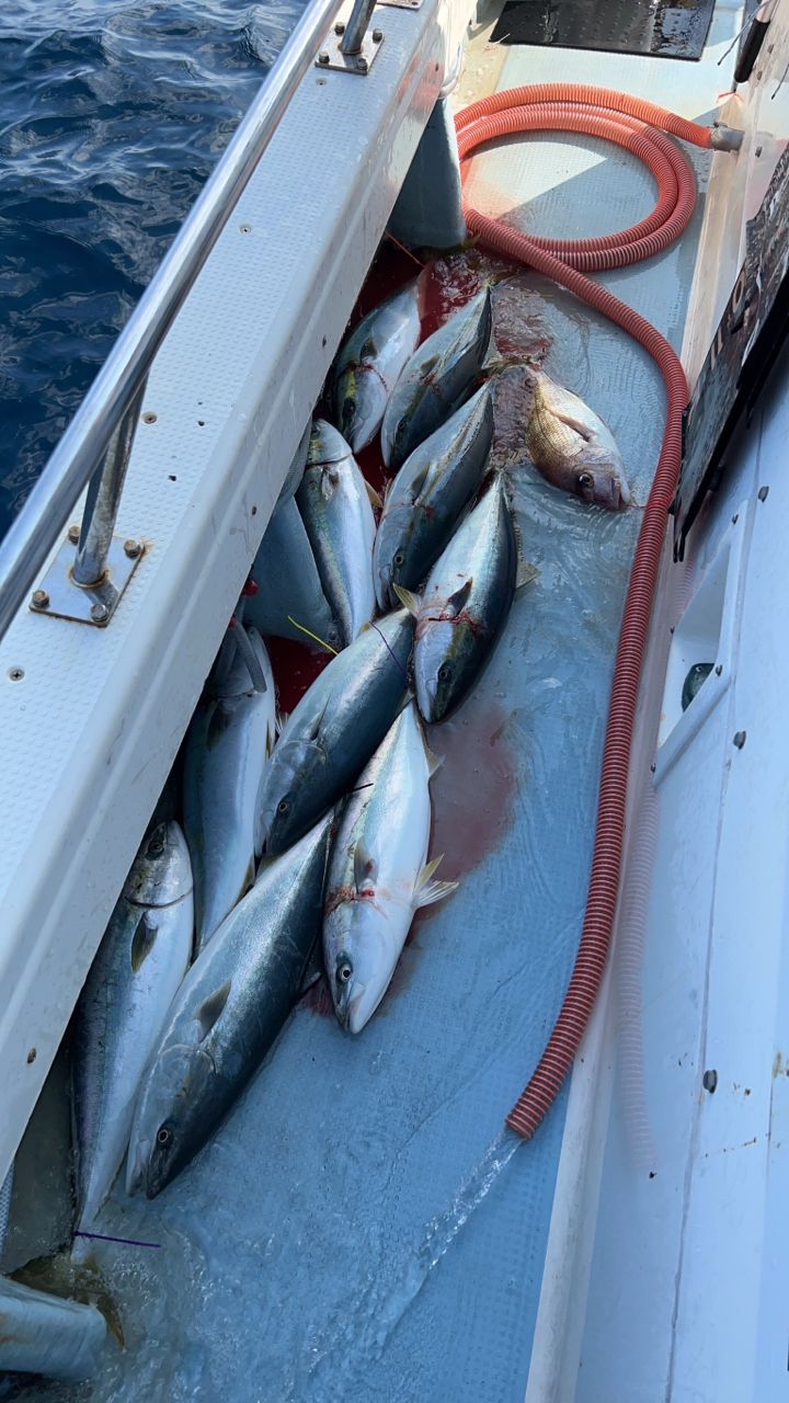 丹後釣物語さんの釣果 3枚目の画像