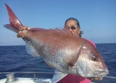 タイの釣果