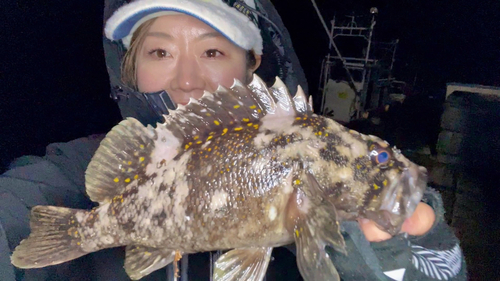 オウゴンムラソイの釣果