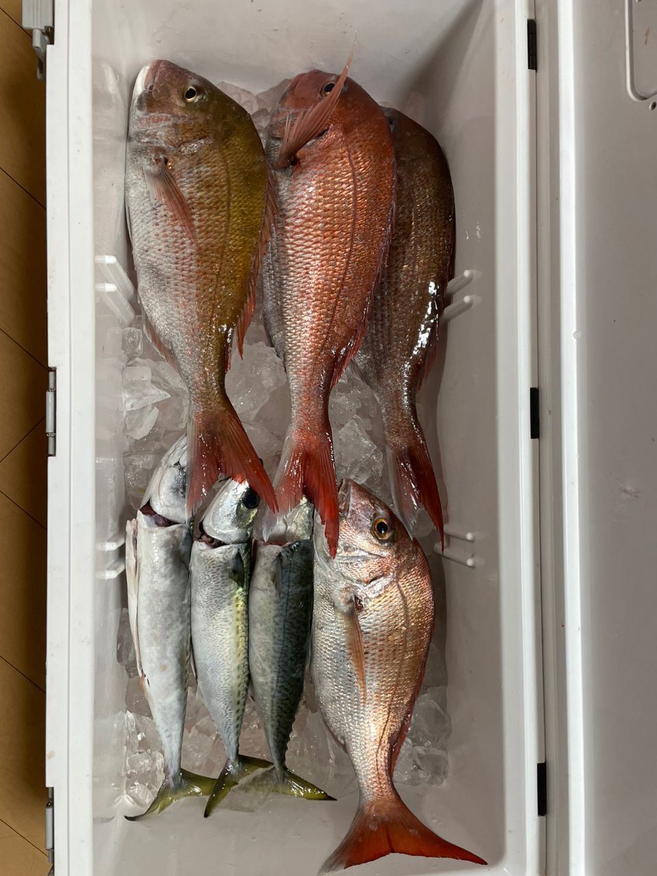 hooking earthのJUNさんの釣果 2枚目の画像