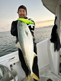 ハマチの釣果