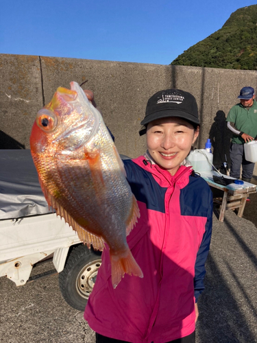 レンコダイの釣果