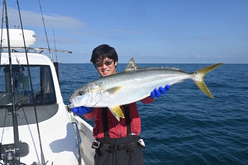 ヒラマサの釣果