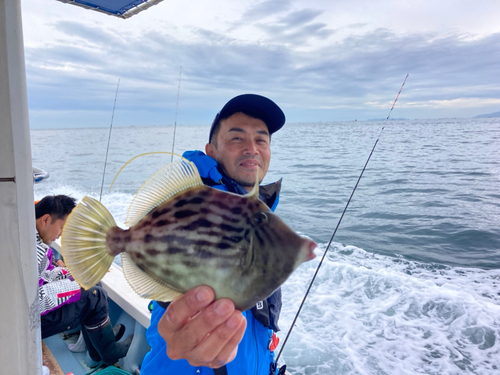 カワハギの釣果