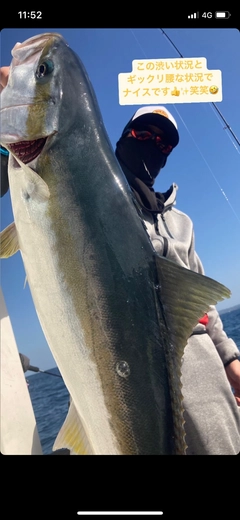 カンパチの釣果