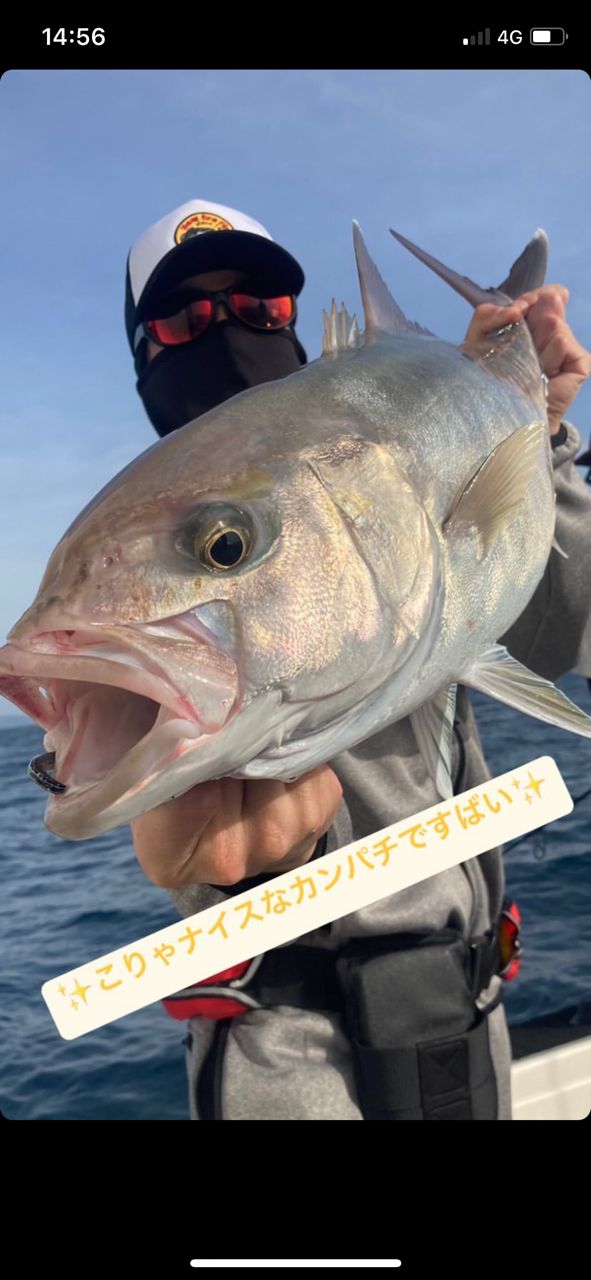 Teruruさんの釣果 3枚目の画像