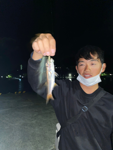 クロムツの釣果