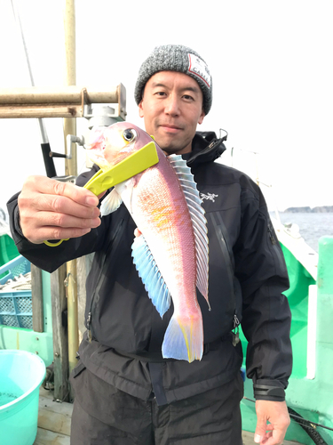 アマダイの釣果