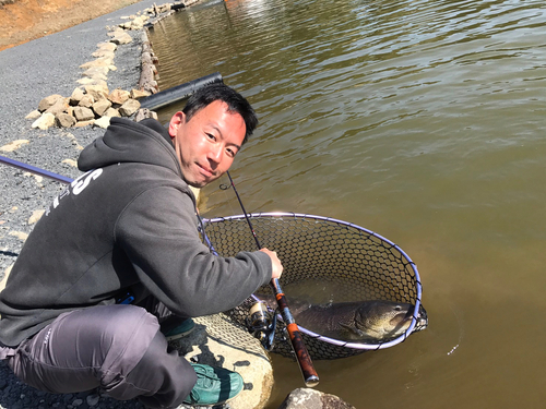 イトウの釣果