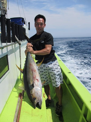 キハダマグロの釣果