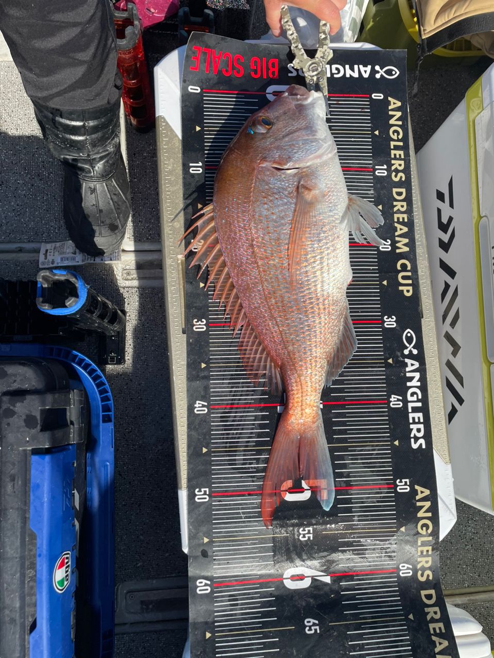 ノリヒロ、さんの釣果 2枚目の画像