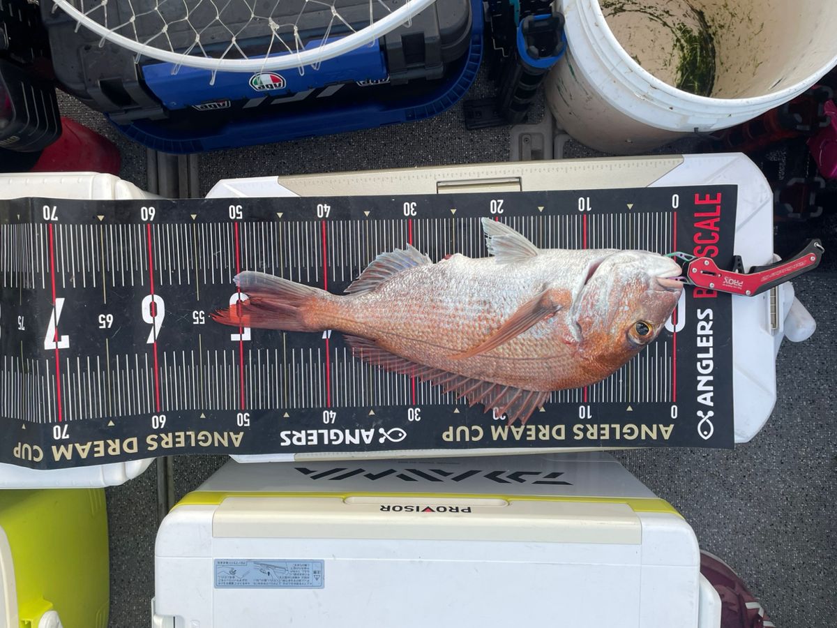 ノリヒロ、さんの釣果 3枚目の画像