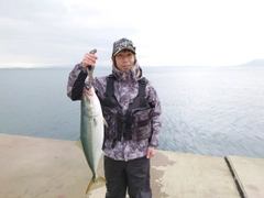 ヤズの釣果