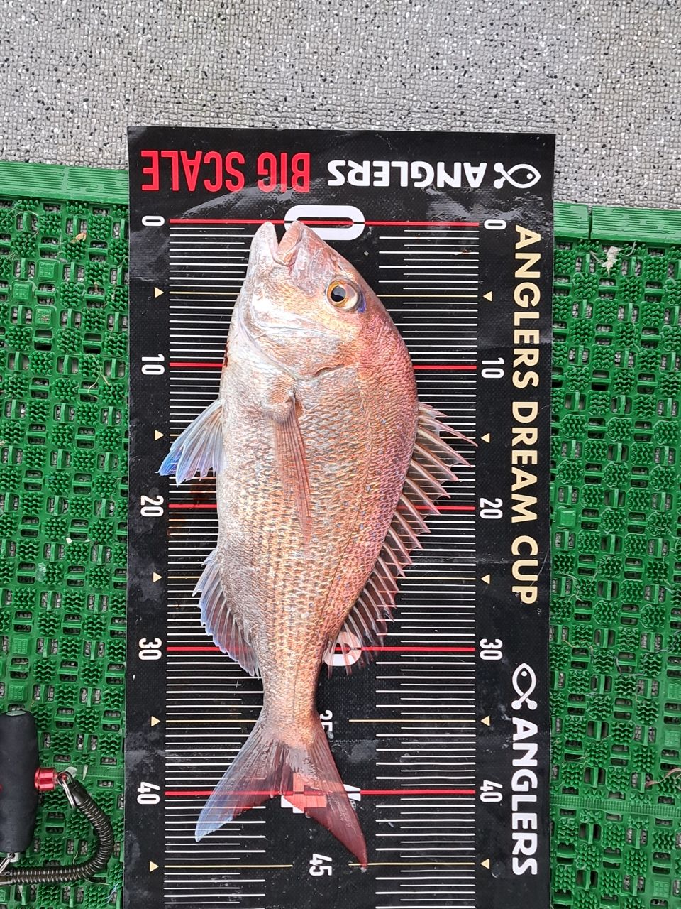 アングラー22024097さんの釣果 3枚目の画像