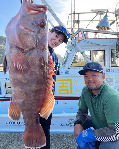 マハタの釣果