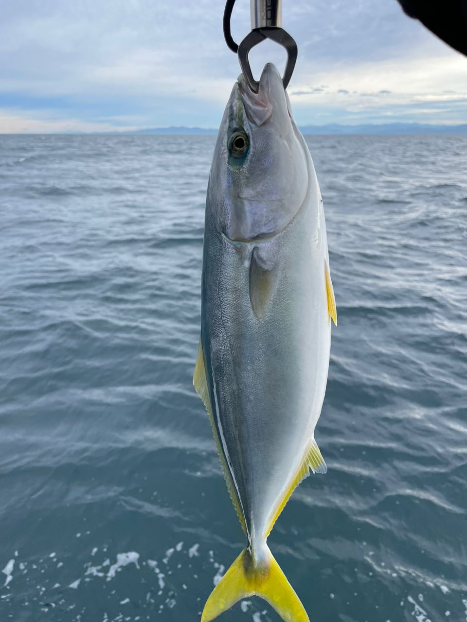 上弦の参さんの釣果 1枚目の画像