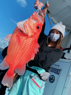 エビスダイの釣果