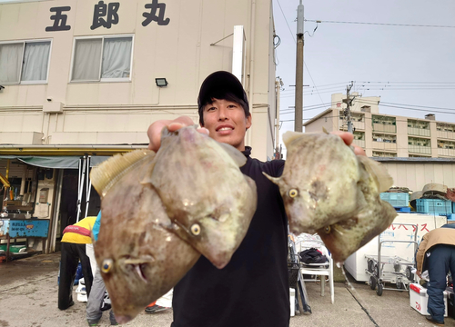 カワハギの釣果