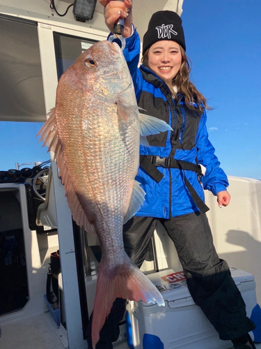 マダイの釣果