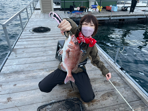 タイの釣果