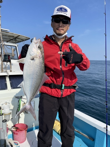 カンパチの釣果