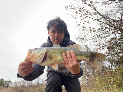 ラージマウスバスの釣果