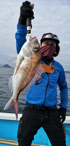 タイの釣果