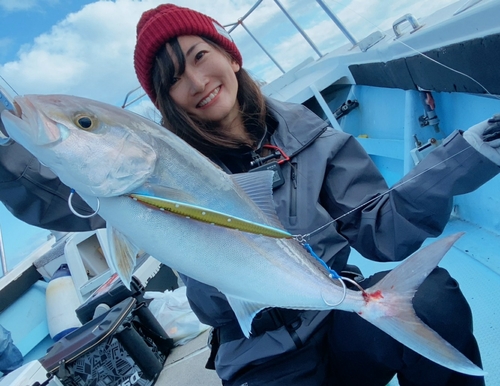 カンパチの釣果