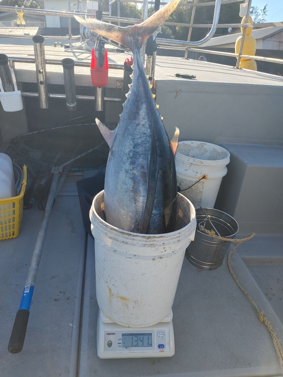 三重県ジギング船　絆さんの釣果 2枚目の画像