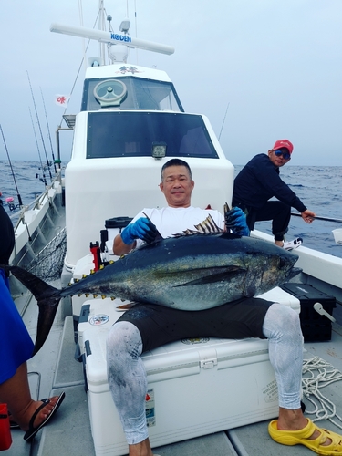 メバチマグロの釣果