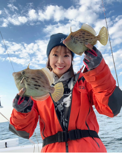 カワハギの釣果