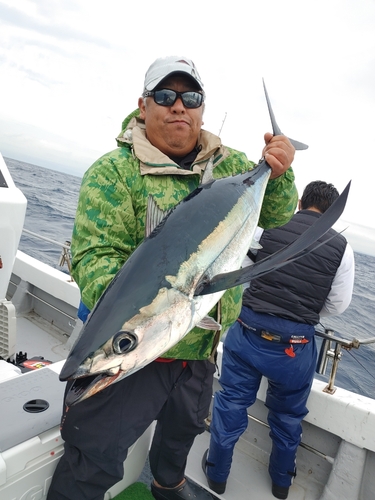 ビンチョウマグロの釣果