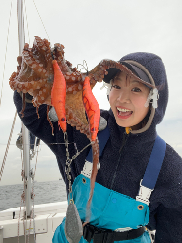 マダコの釣果