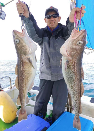 マダラの釣果