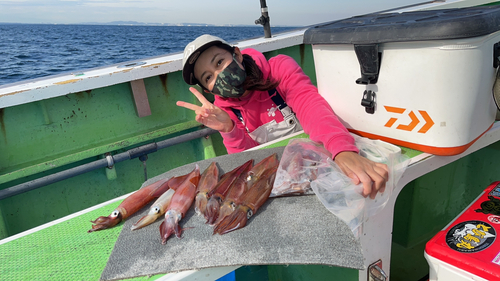 スルメイカの釣果