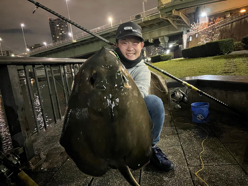 アカエイの釣果